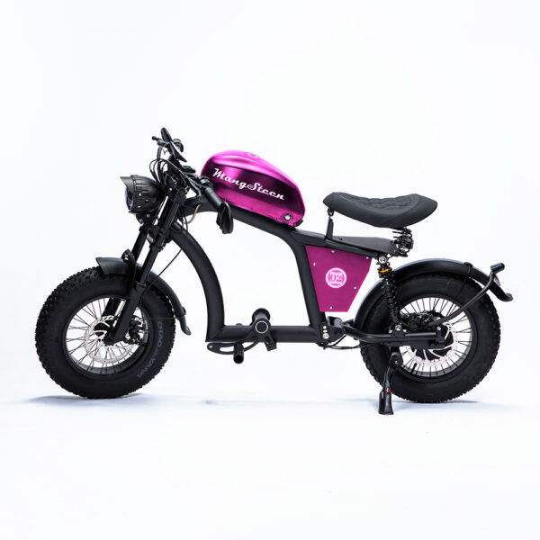 FT-02 MINIバイクピンク写真